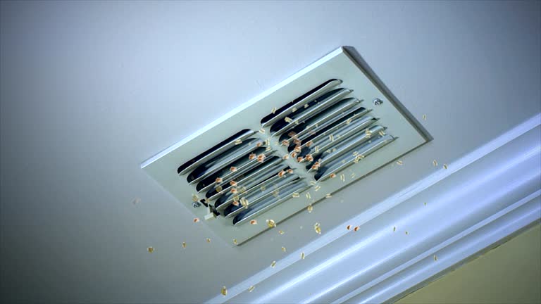 Best HVAC Maintenance and Cleaning  in Laurel Hollow, NY